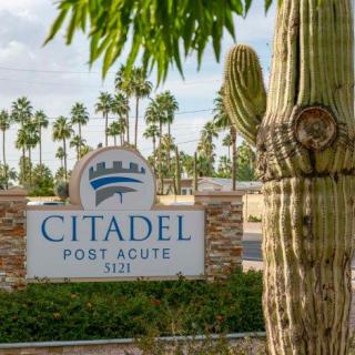 Entrance sign for Citadel Post Acute surrounded by palm trees and a cactus.
