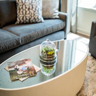 A cozy living room with a modern coffee table adorned with magazines and a small plant centerpiece.