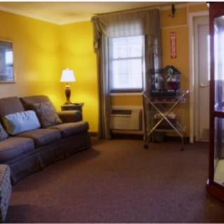 A cozy living room with yellow walls and a comfortable sofa.