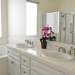 A modern bathroom with double sinks and a flower pot for decoration.