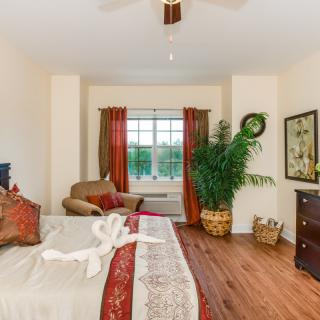 A well-decorated bedroom featuring a large bed, artwork on the walls, and lush plants by the window.