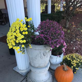 A charming autumn display featuring vibrant yellow and purple flowers alongside a decorative pumpkin.