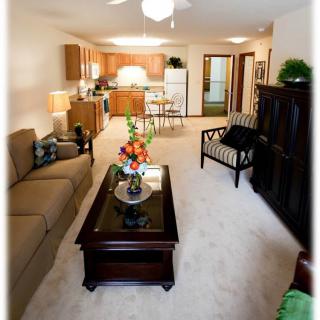 A cozy open-plan living room and kitchen area with comfortable seating and elegant furniture.