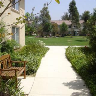A serene garden path with a wooden bench and lush greenery.