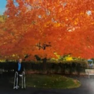 A person using a walker stands on a path beneath a vibrant orange tree in autumn.