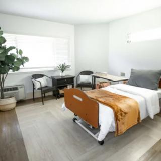 A modern hospital room with a bed, chairs, and a potted plant.