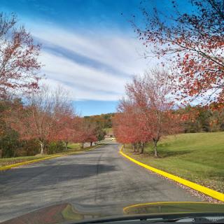 A picturesque autumn scene featuring colorful trees lining a winding road under a blue sky.