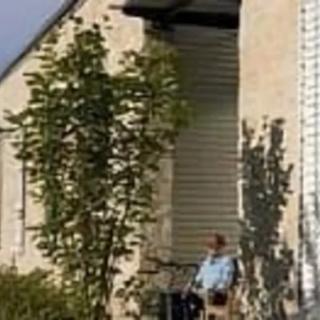 A person sitting outside a building with trees and shadows cast on the wall.