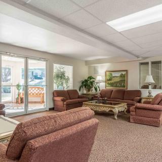 A cozy living room with multiple sofas, a coffee table, and indoor plants.