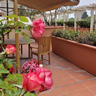 A cozy terrace with vibrant roses and wooden patio furniture.