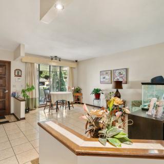 A spacious living area with an open layout featuring a dining table, plants, and an aquarium.