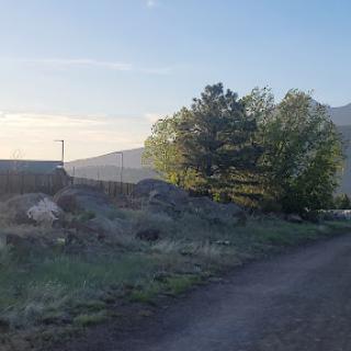 A serene morning scene featuring a dirt road leading towards lush greenery and distant mountains.