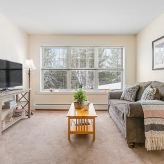 Cozy living room featuring a plush sofa, wooden coffee table, and a large window with natural light.