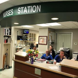 A bustling nurses station in a hospital, showcasing dedicated medical staff ready to assist.