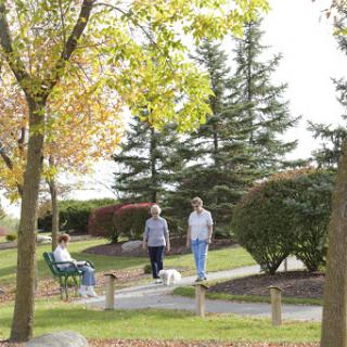 A serene park scene depicting people enjoying a leisurely walk and relaxing amidst the vibrant autumn foliage.