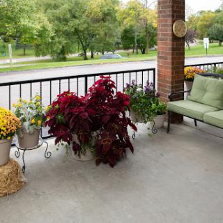 A serene balcony adorned with vibrant plants and comfortable seating, perfect for enjoying a peaceful moment outdoors.