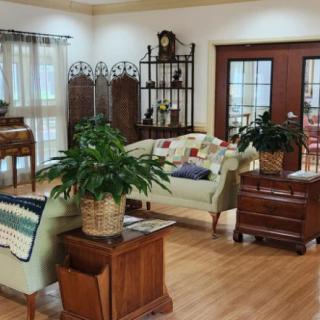 A cozy living room with elegant furniture and indoor plants.