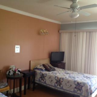 A cozy bedroom featuring two beds, a television on a stand, and a ceiling fan.