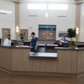 A reception area in a modern office space, featuring a wooden front desk and staff member attending to tasks.