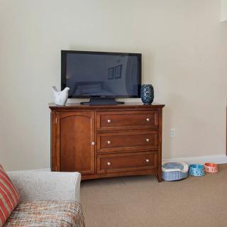 A living room with a TV on a wooden drawer and dog bowls on the floor.