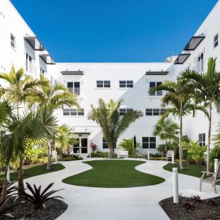 A modern courtyard with palm trees and a white building under a clear blue sky.