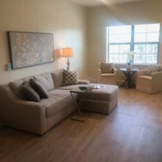 A cozy living room with a modern sofa, decorative pillows, and ample natural light.