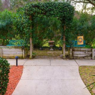 Holiday Cherry Laurel
