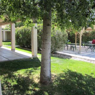 A serene garden with a lush lawn, shaded by trees and featuring a pathway leading to outdoor seating.