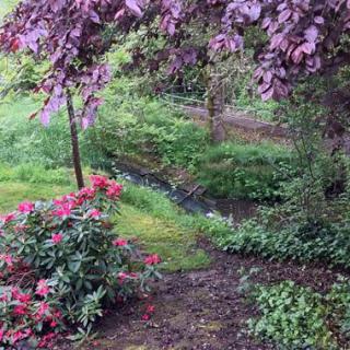 A tranquil garden scene with colorful flowers, trees, and a small creek.