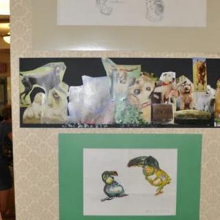 A collage of animal illustrations displayed on a wall.
