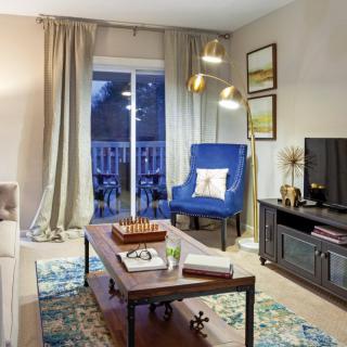 A modern and stylish living room featuring a blue armchair, decorative rug, and contemporary furnishings.