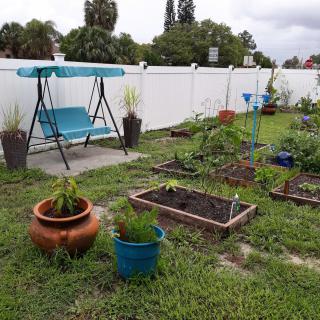 A peaceful backyard garden with a variety of plants and a swing chair.