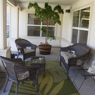 A cozy patio setup with wicker chairs and a potted plant.