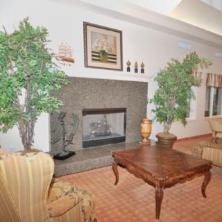 A cozy living room featuring a fireplace, decorative plants, and elegant furniture.