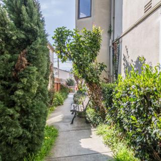 A serene garden walkway with a bench surrounded by lush greenery.