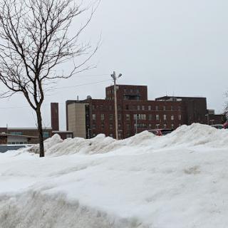 A snowy urban landscape with a barren tree and buildings in the background under a gray sky.