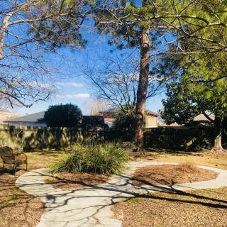 A tranquil garden scene with a winding pathway surrounded by trees on a sunny day.
