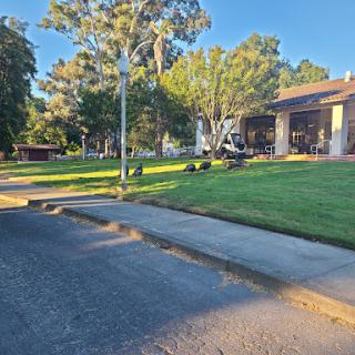 A serene residential area with well-kept lawns and trees on a sunny day.