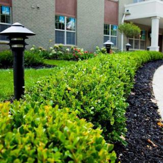 A beautifully landscaped pathway lined with green bushes and outdoor lighting fixtures, alongside a building exterior.