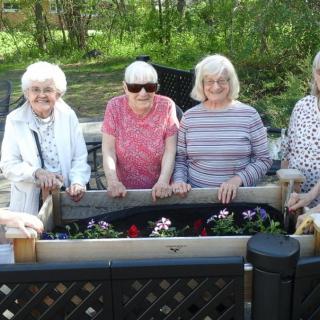 A group of elderly women enjoying gardening together outside.