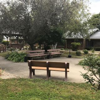 A serene outdoor space featuring benches surrounded by greenery.