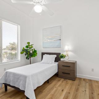 A bright and minimalist bedroom featuring a single bed, wooden flooring, and a touch of greenery.
