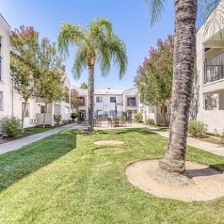 A serene view of an apartment complex courtyard, featuring lush green grass and palm trees under a clear blue sky.