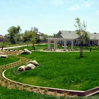 A serene outdoor park featuring lush green grass, a variety of trees, and a building in the background, perfect for relaxation and recreation.