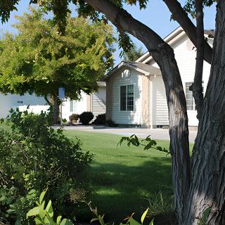 A suburban house surrounded by trees and greenery.