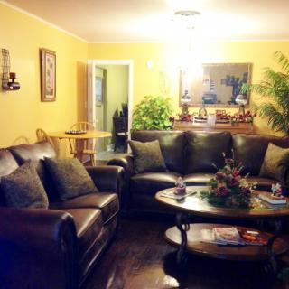 A cozy living room with a large leather sofa set, a round coffee table, and lush indoor plants enhancing the warm ambiance.