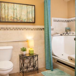 A cozy bathroom with a white toilet, walk-in bathtub, teal shower curtain, and decorative elements like artwork and a small plant.