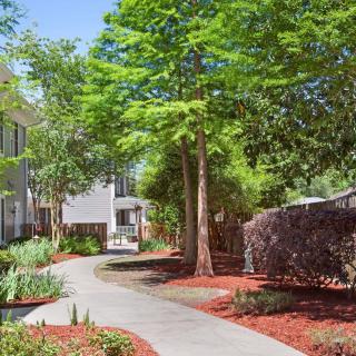 A serene pathway lined with trees and well-maintained landscaping leading to residential apartments.