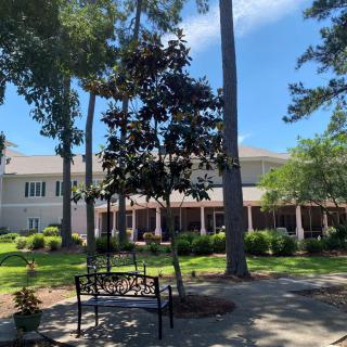 A serene outdoor area with a bench, trees, and a building in the background under a clear blue sky.