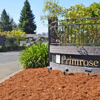 Entrance sign of Primrose surrounded by landscaped plants.
